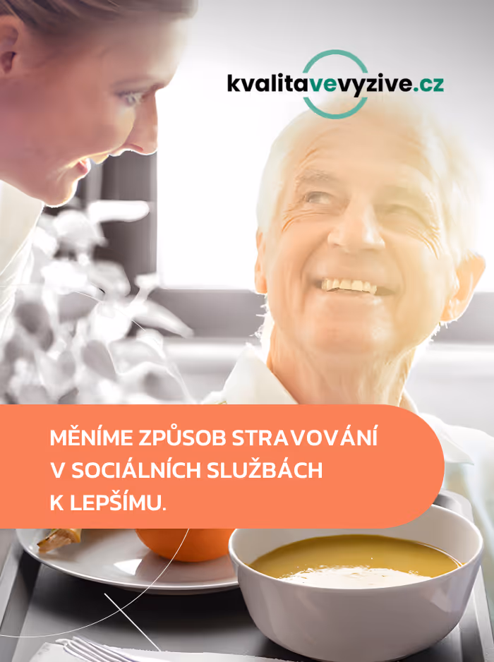 Kvalitavevyzive.cz design showcase