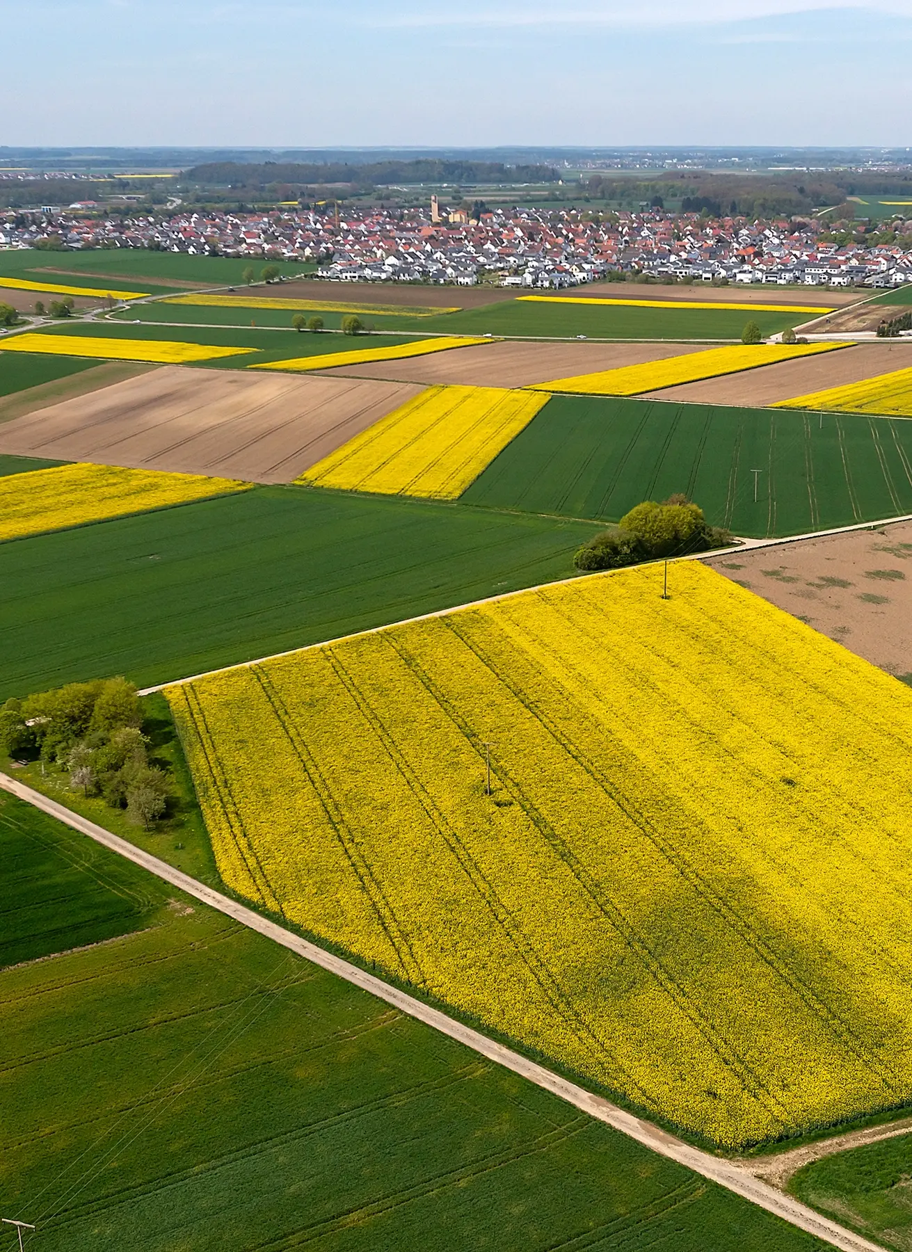 Luftaufnahme von landwirtschaftlichen Feldern mit gelben Rapspflanzen und grünen und braunen Anbauflächen, im Hintergrund ein Dorf mit vielen Häusern.