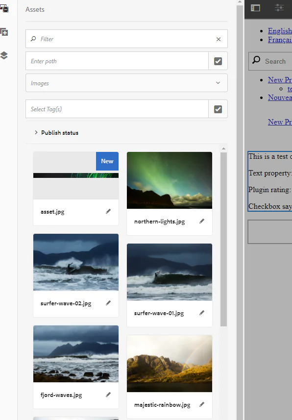 Asset management interface showing image thumbnails with names and editing options in a scrollable panel.