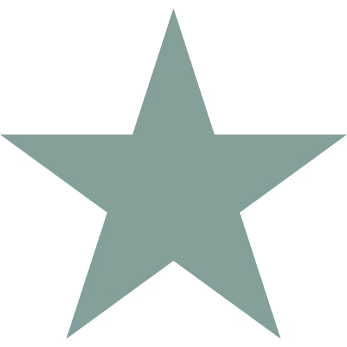 Stern Icon