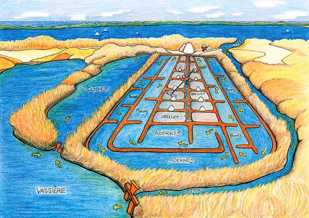 Hình minh hoạ một công trình muối ở Pháp tương tự như cánh đồng muối ở Sa Huỳnh