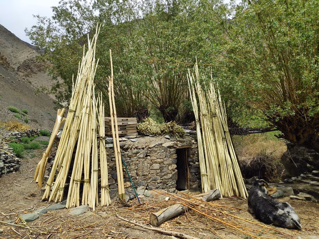 sản phẩm sau hơn 2 tiếng ngồi bóc talu tại nhà của Jason và Caitlin