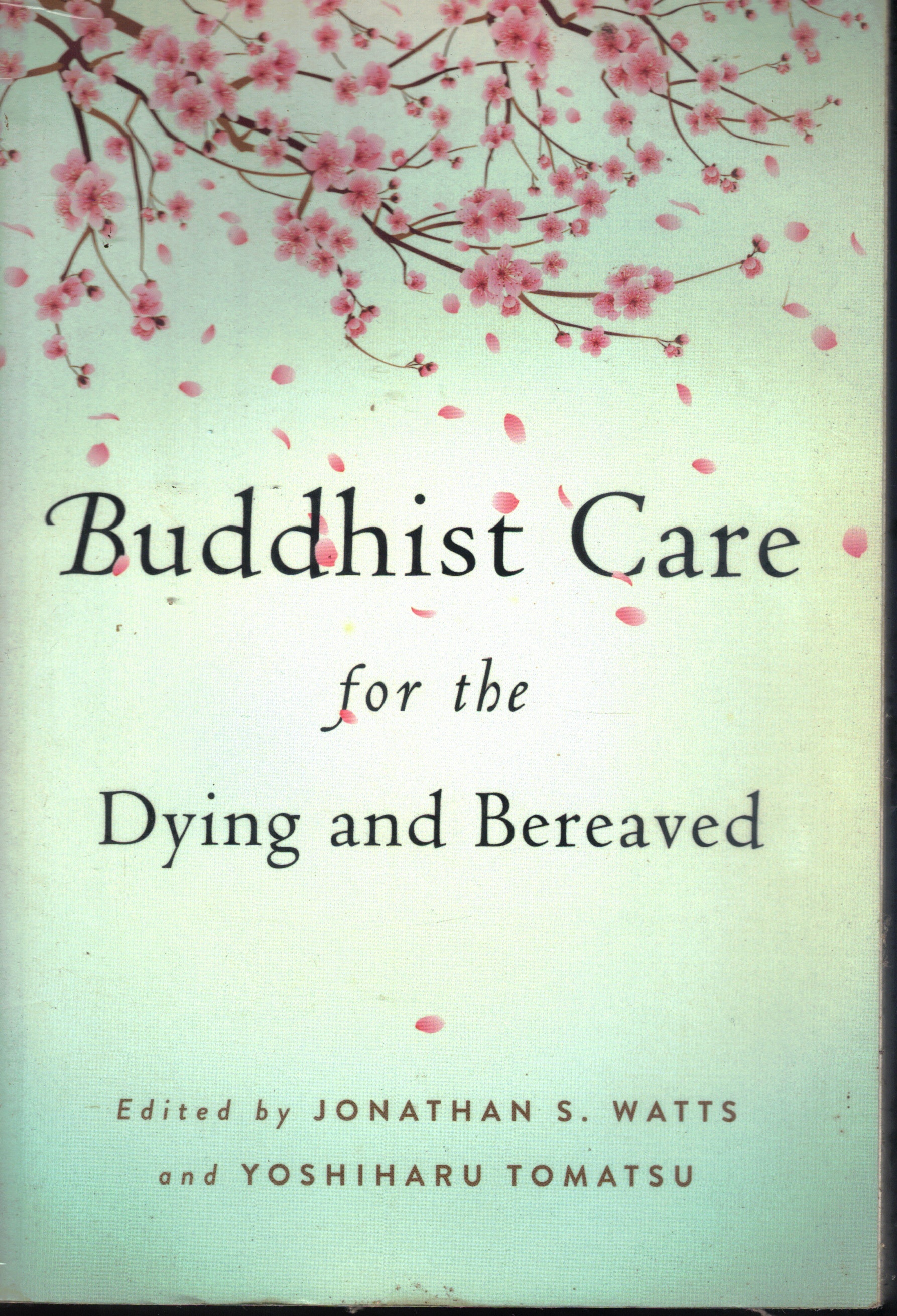 Scan2026-02-07_162339_17