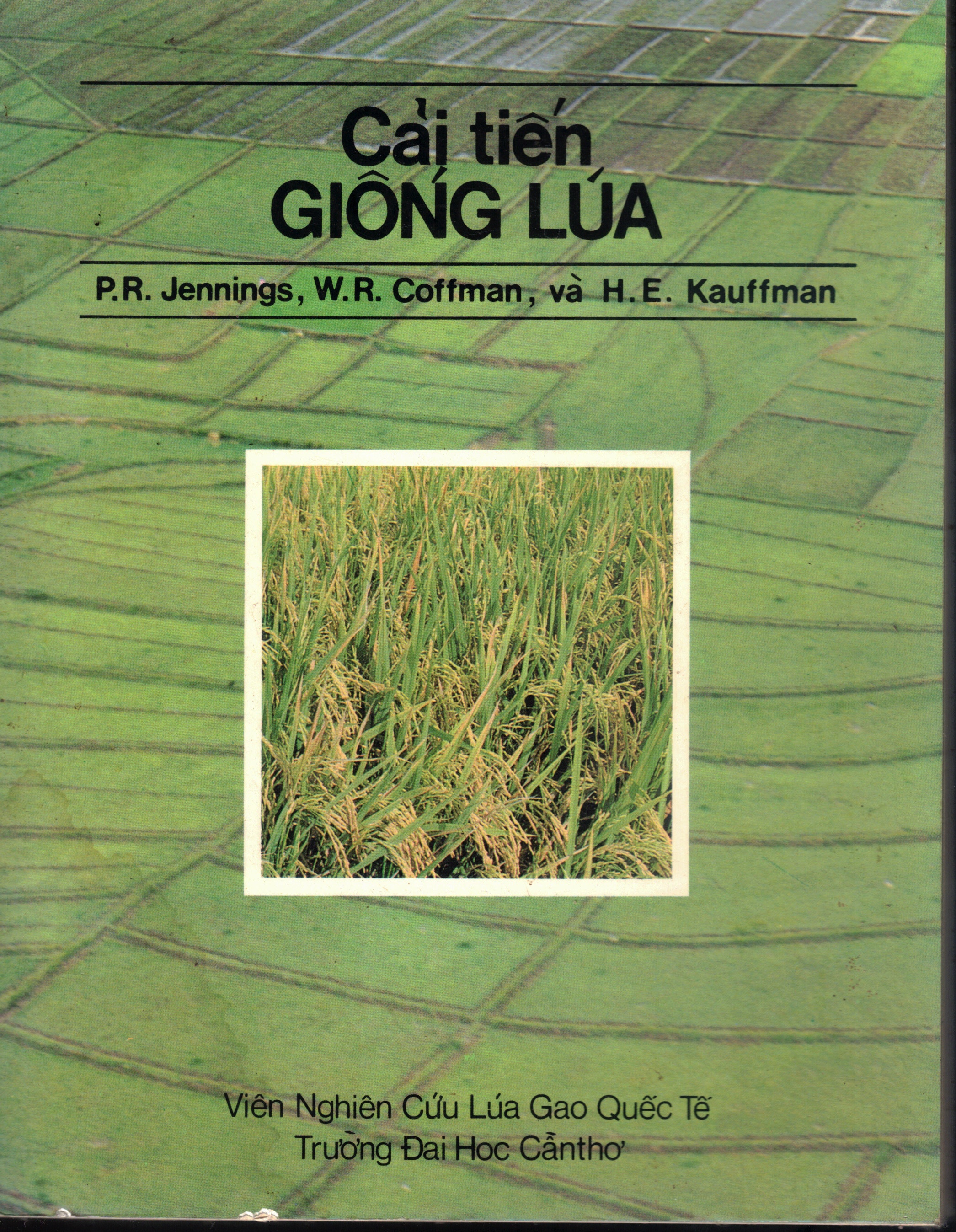 Scan2026-02-07_164217_07