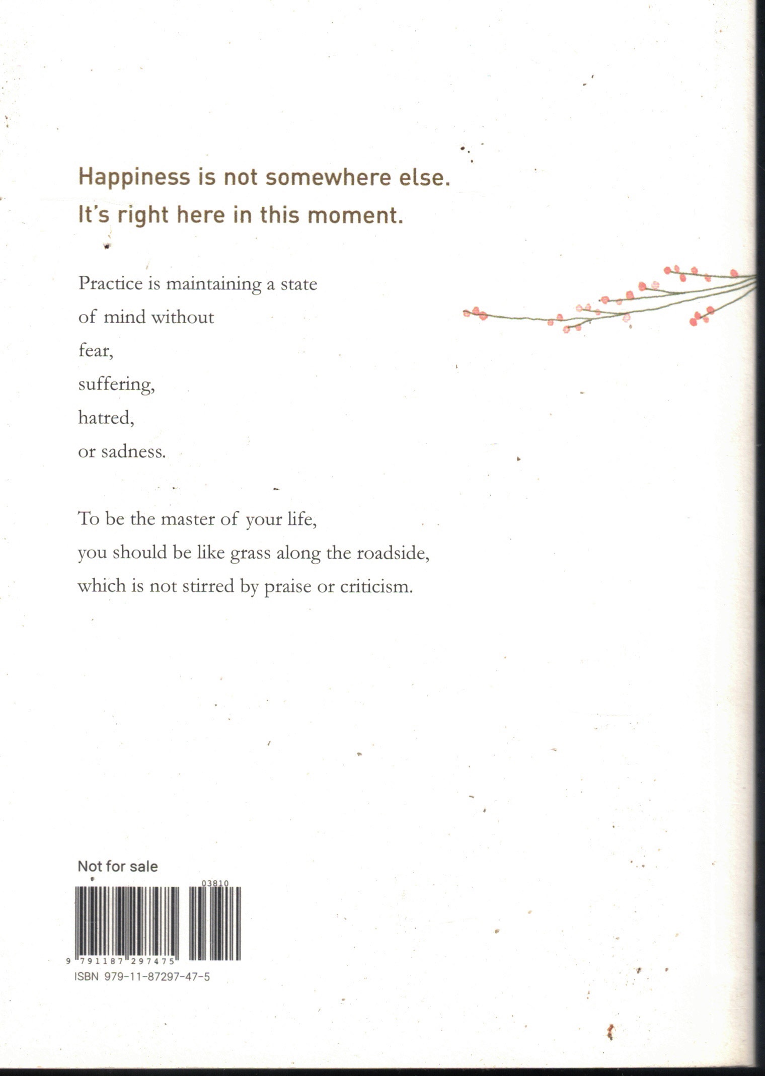 Life, Here and Now - Words of Wisdom