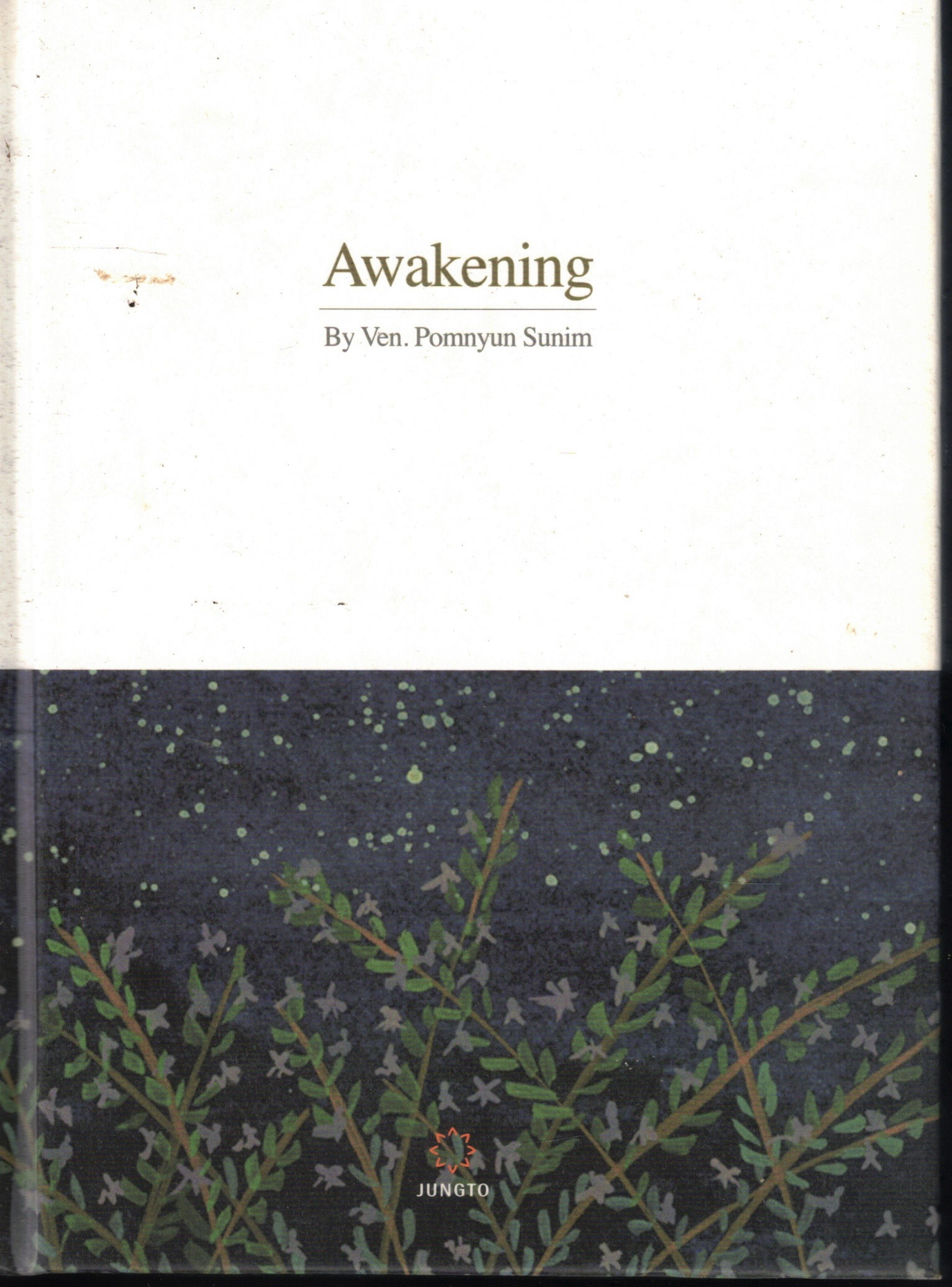 Cover of Awakening