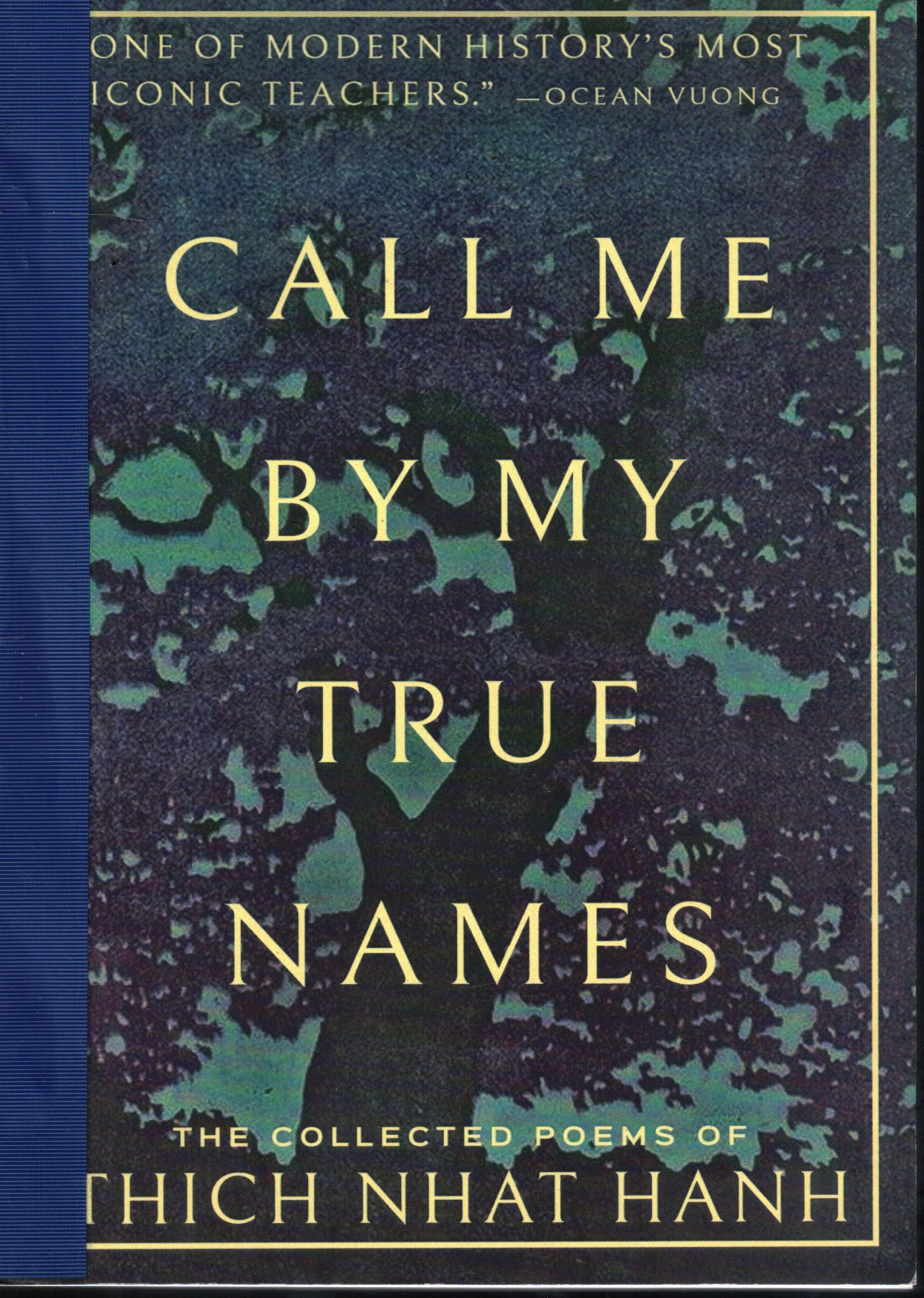 Cover of Call Me By My True Names