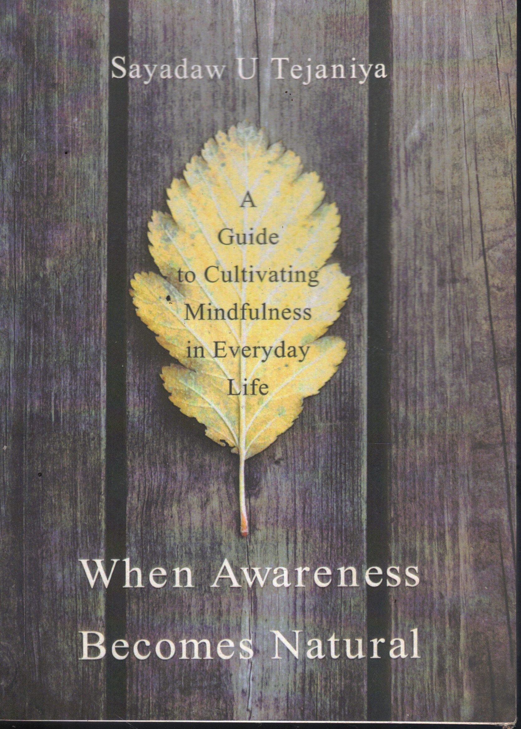 Cover of Don't Look Down on the Defilements