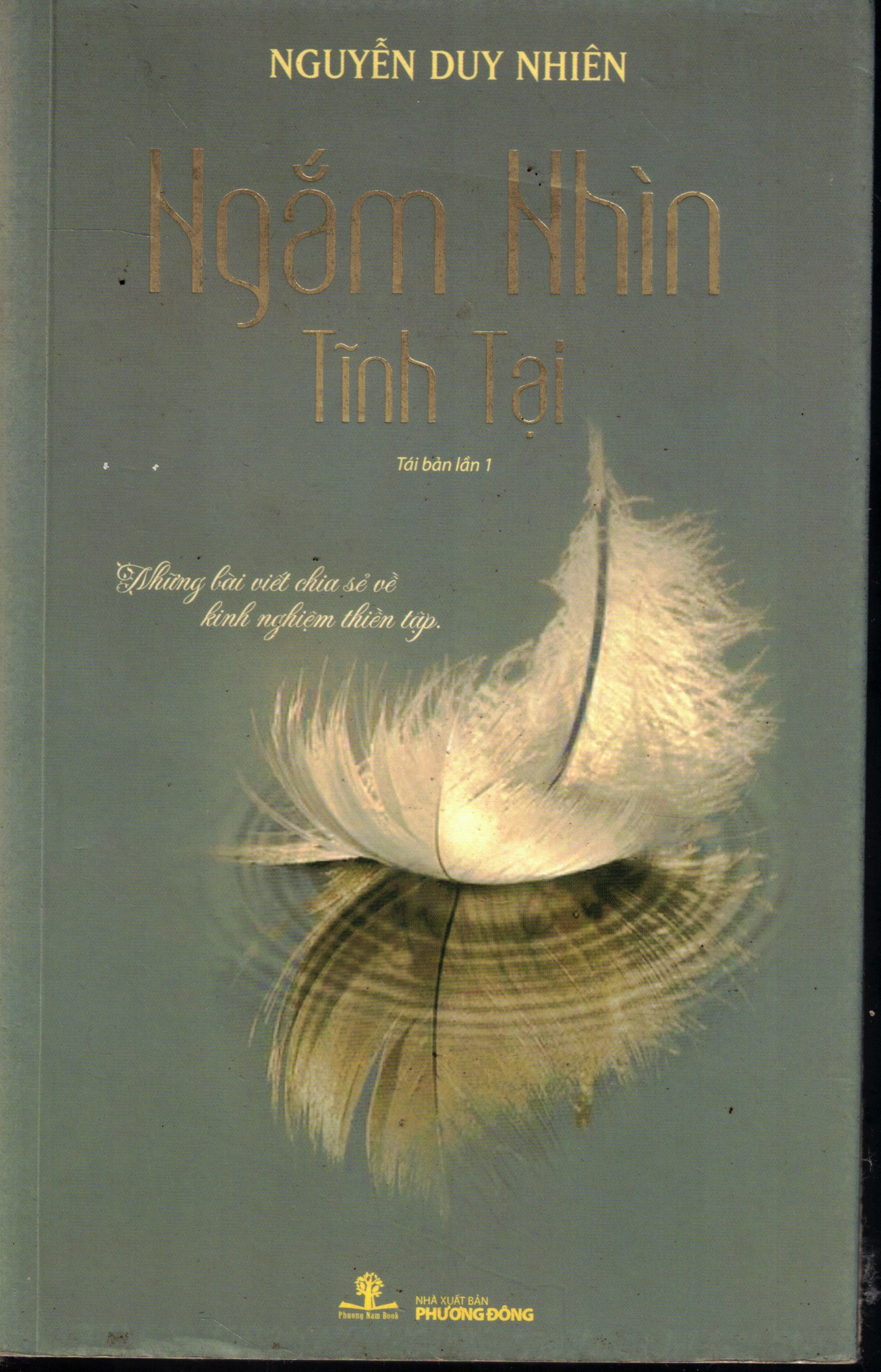Cover of Ngắm Nhìn Tĩnh Tại