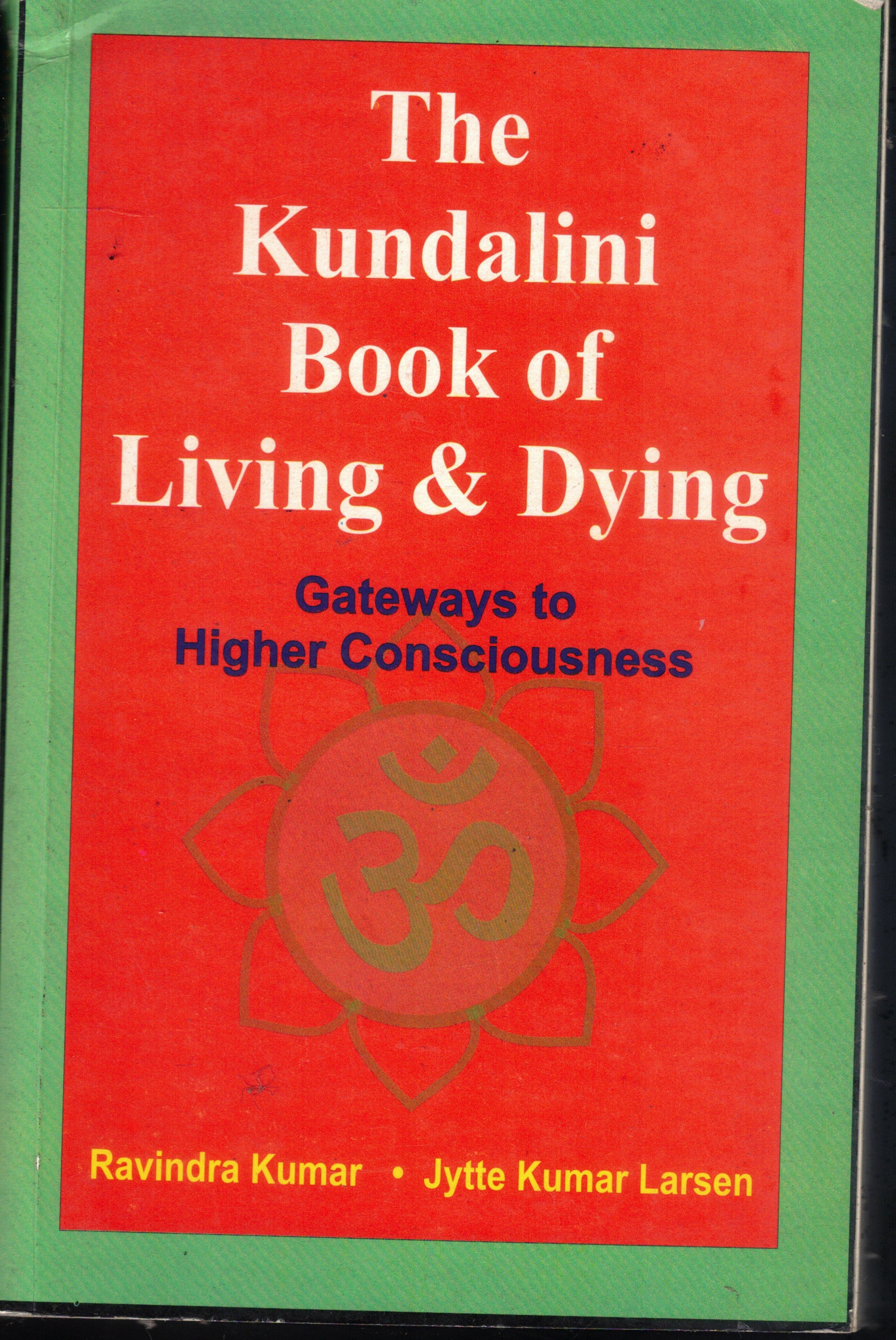 Cover of The Kundalini Book of Living & Dying: Gateways to Higher Consciousness