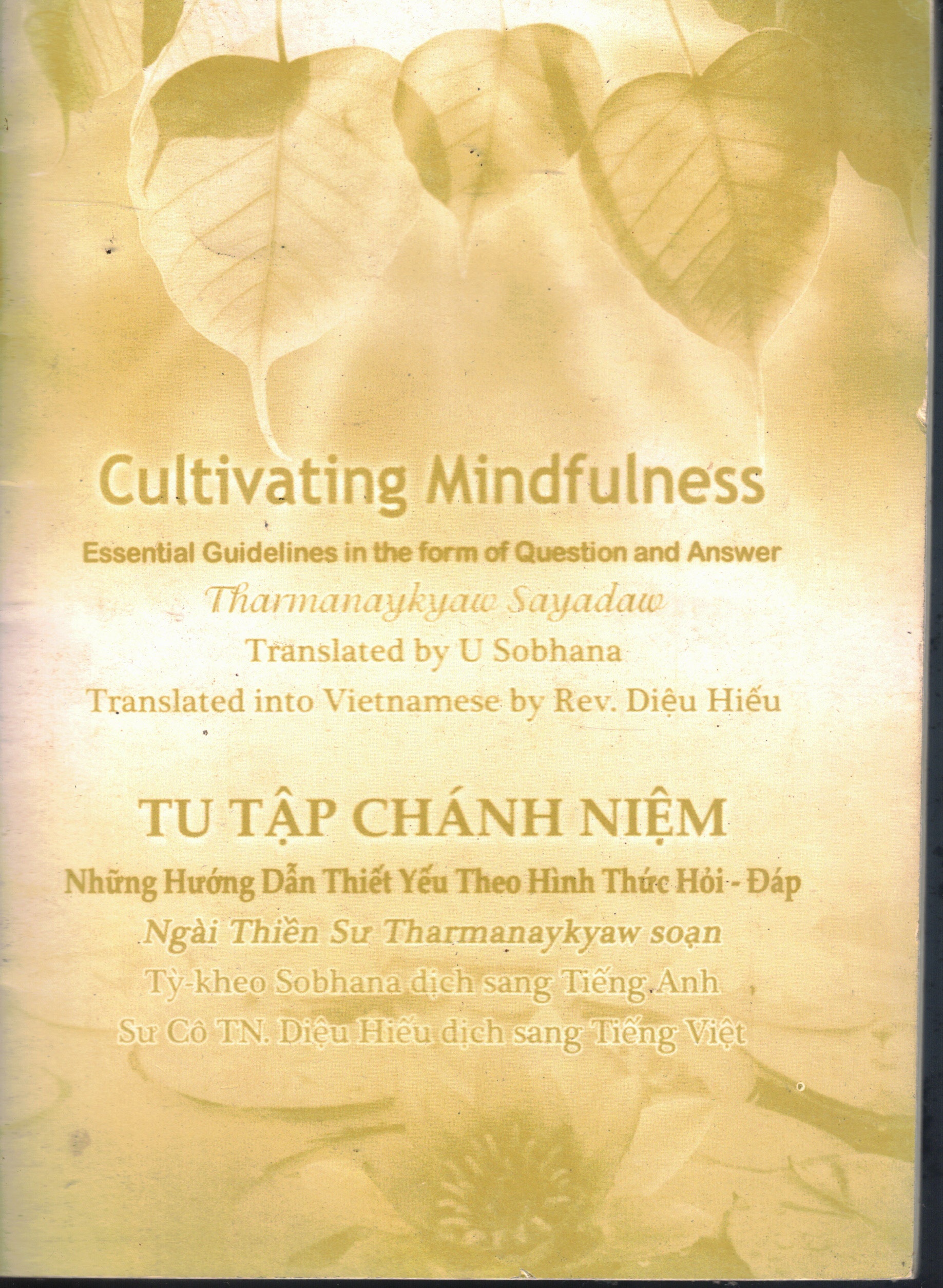 Cover of Tu Tập Chánh Niệm