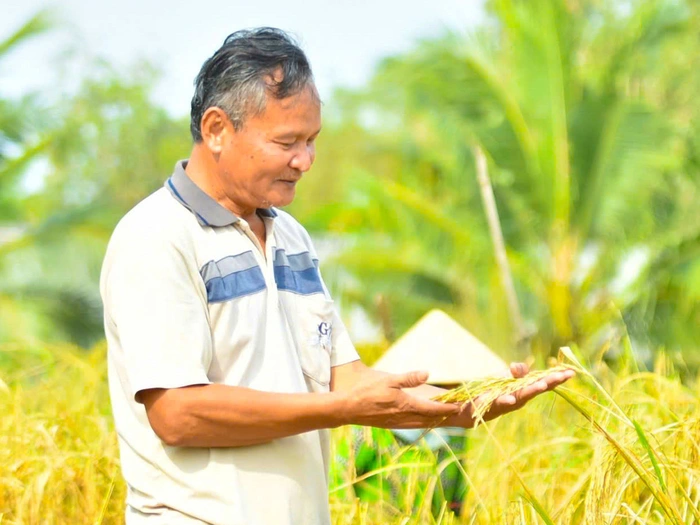 Nghề nông truyền thống — giá trị thật sự của lao động tay