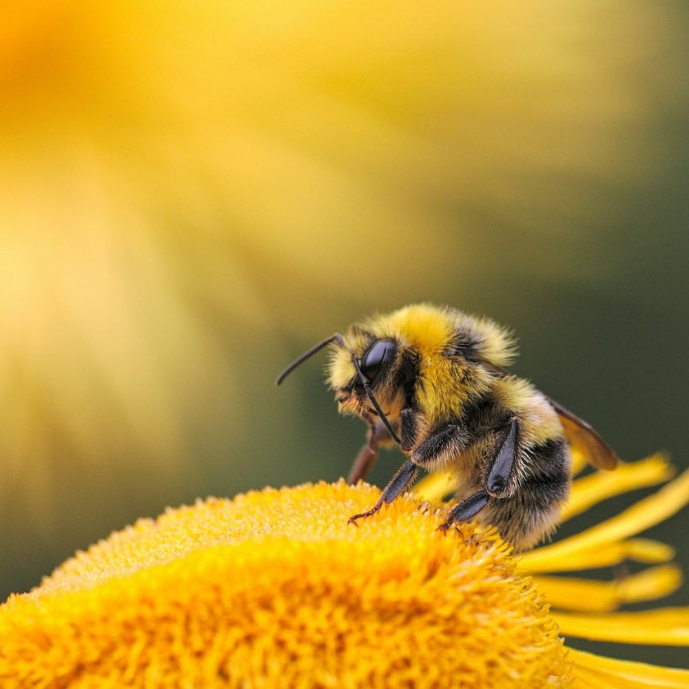 payroll blog, advice from payroll experts