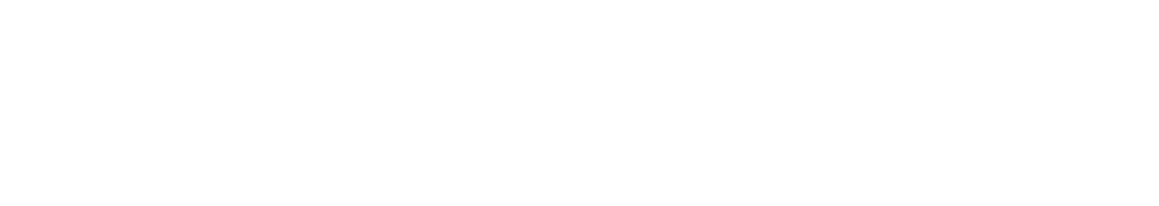 Berlingske newspaper logo with the word 'Berlingske' in serif font followed by a circular emblem.