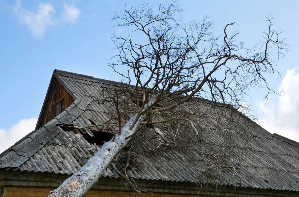 roof storm damage