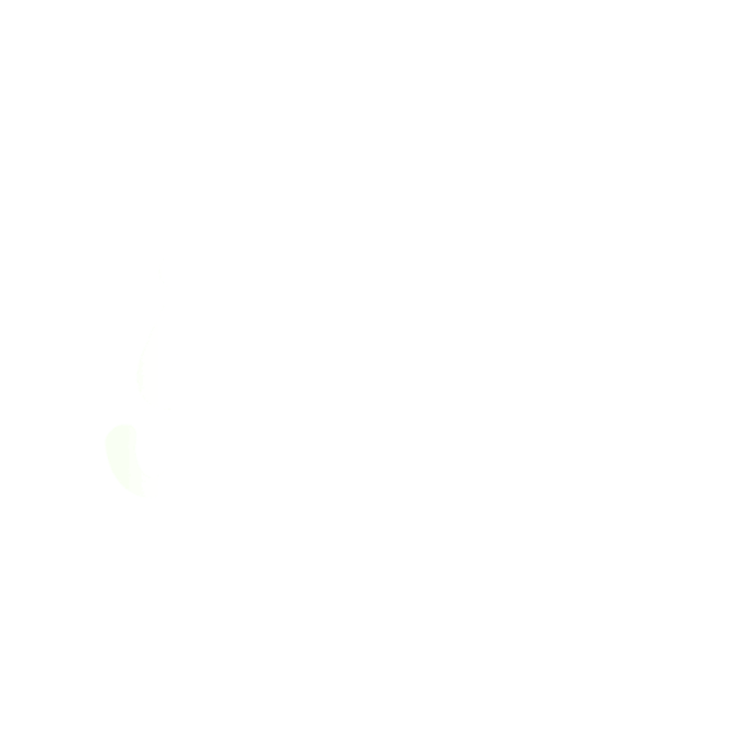 Yes Cacao logo