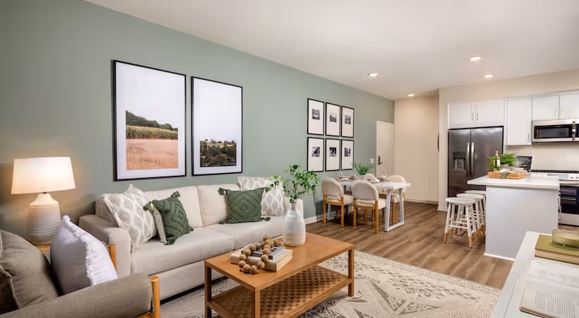 Fully furnished living room