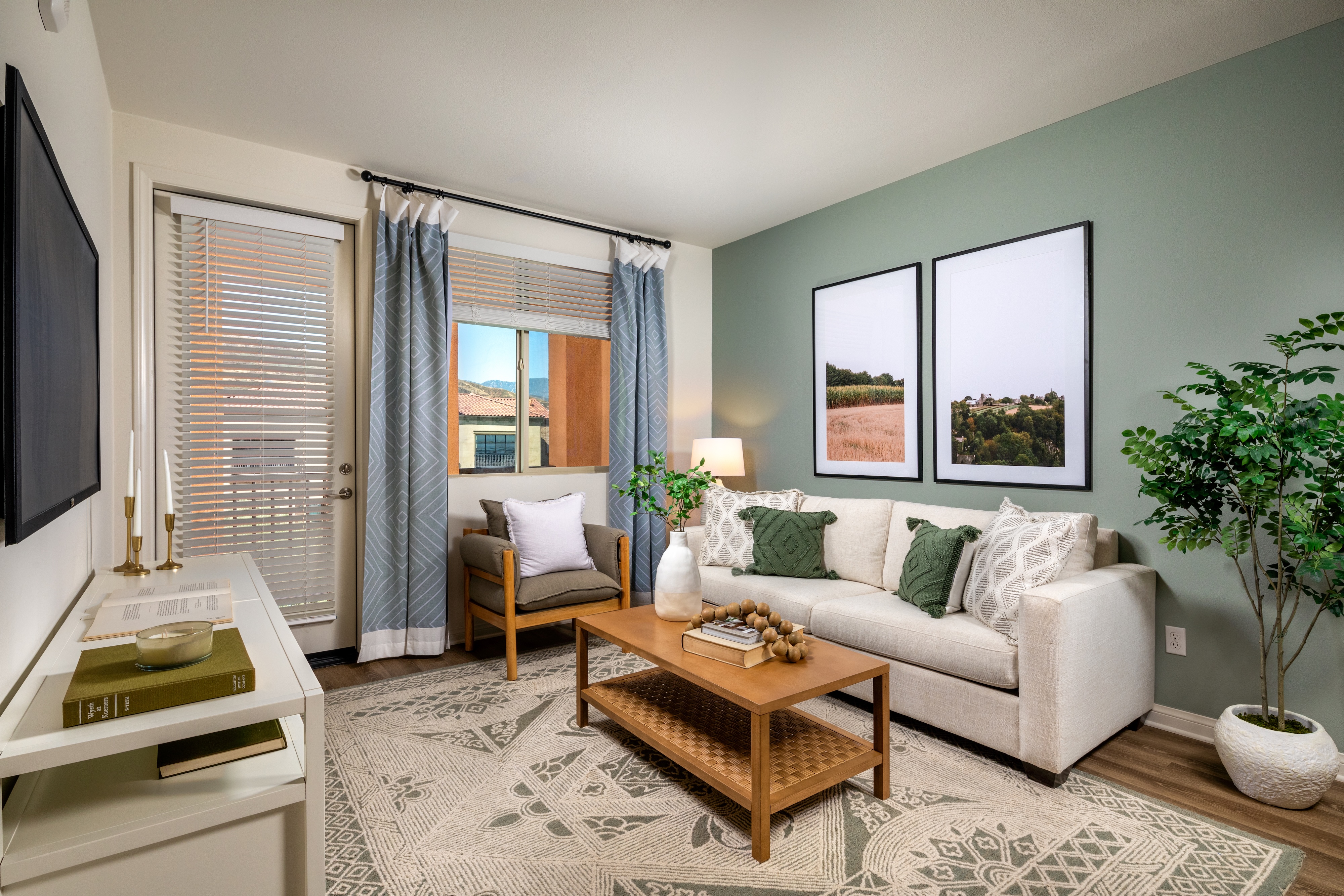 Fully furnished living room