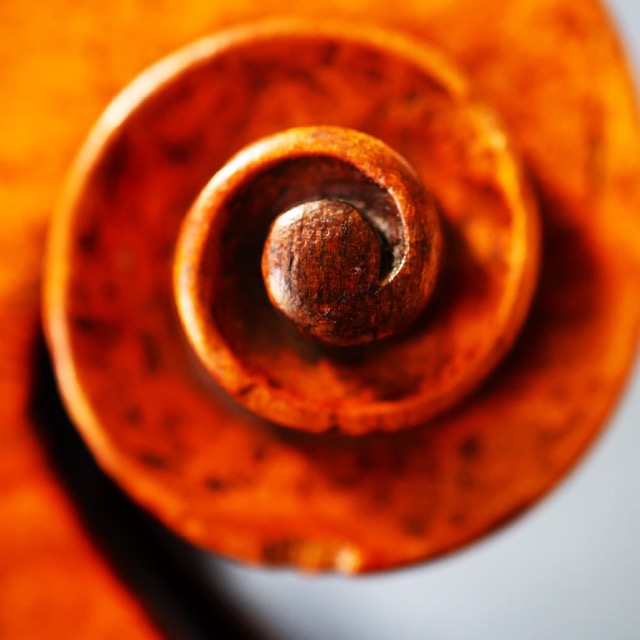 The Carcassi Cello