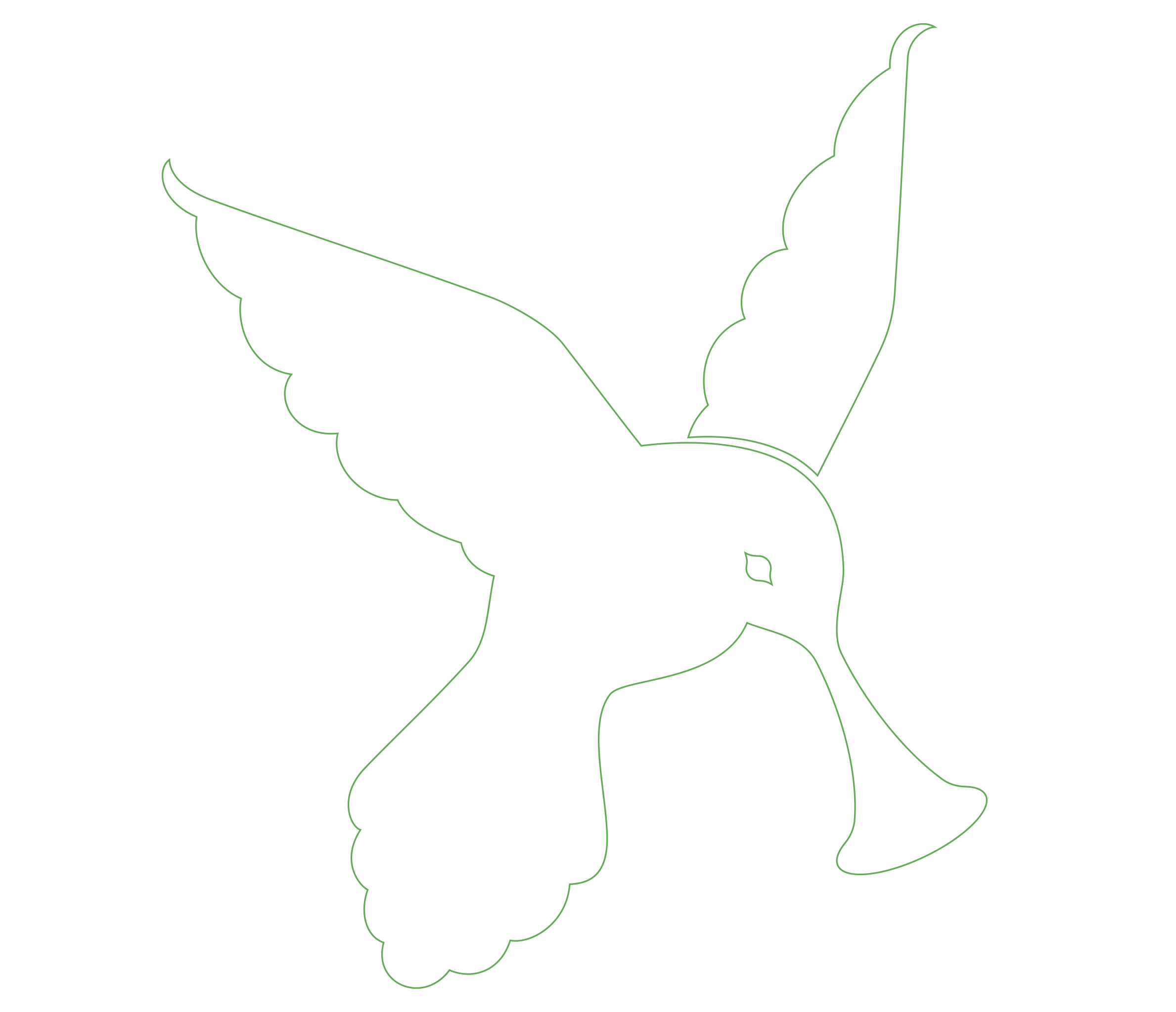 Hummingbird illustration