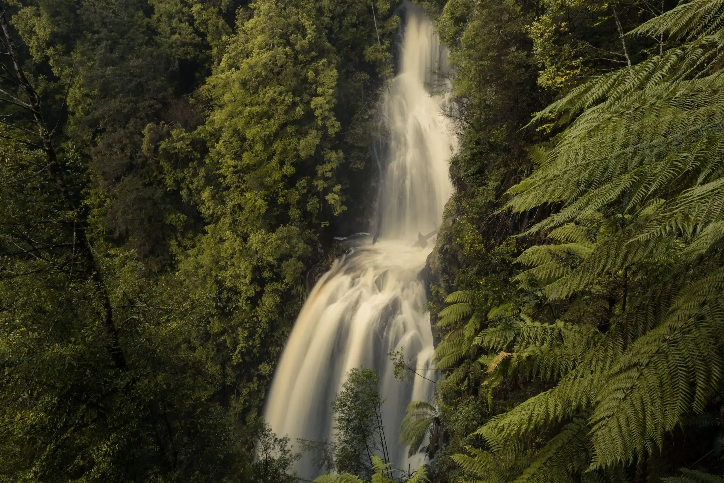 Multi-tiered waterfall surrounded by lush green forest and large fern leaves.