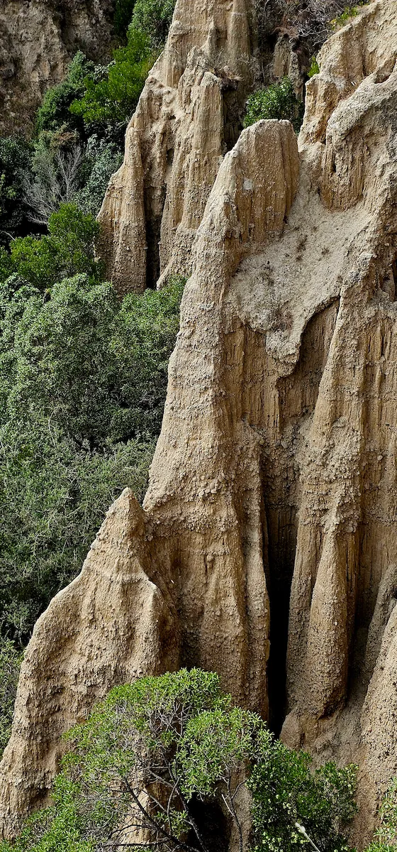 Tall, jagged brown rock formations surrounded by dense green vegetation.