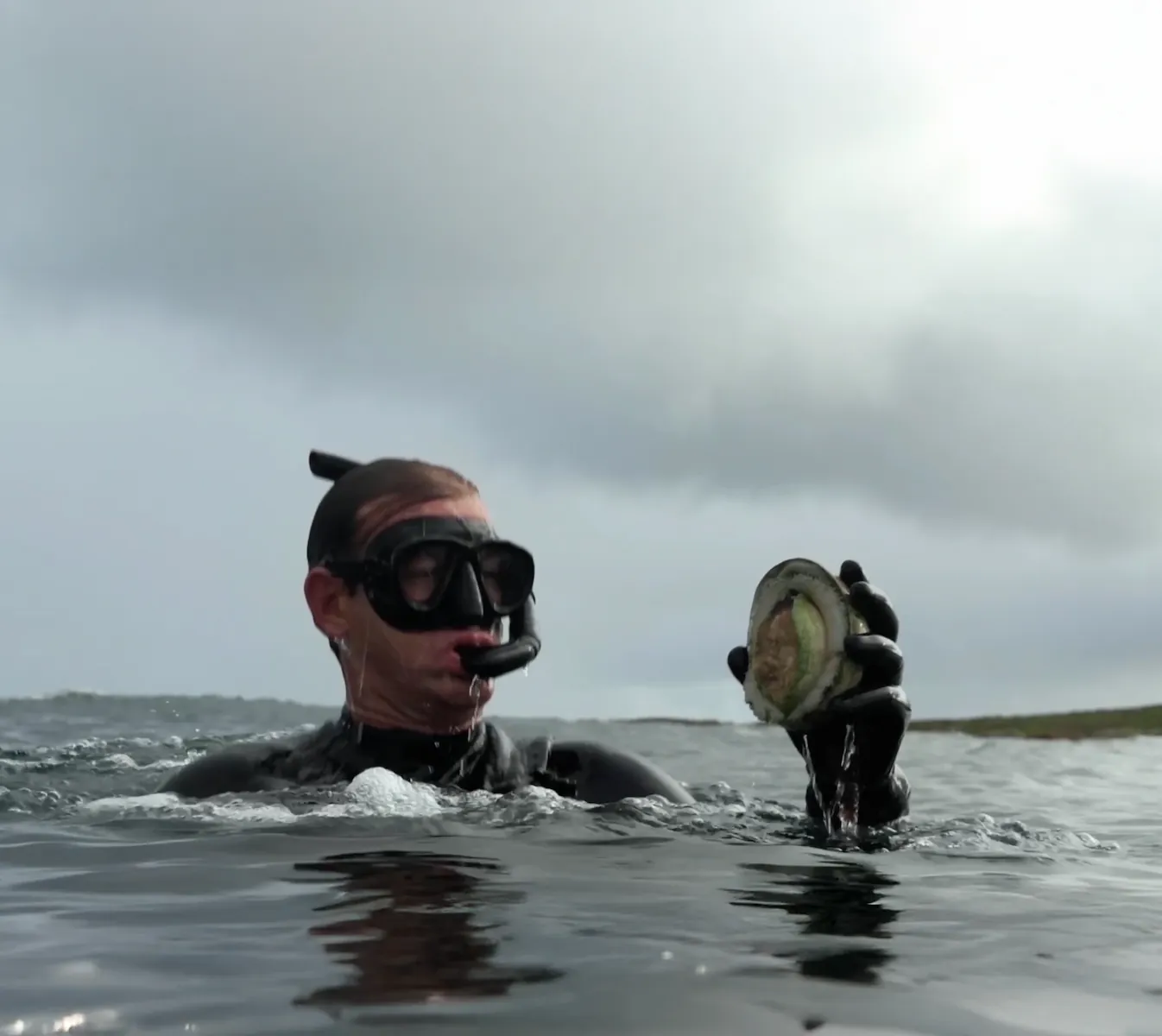 Diver in a wetsuit and snorkel holding an opened abalone shell while partially submerged in water under cloudy sky.