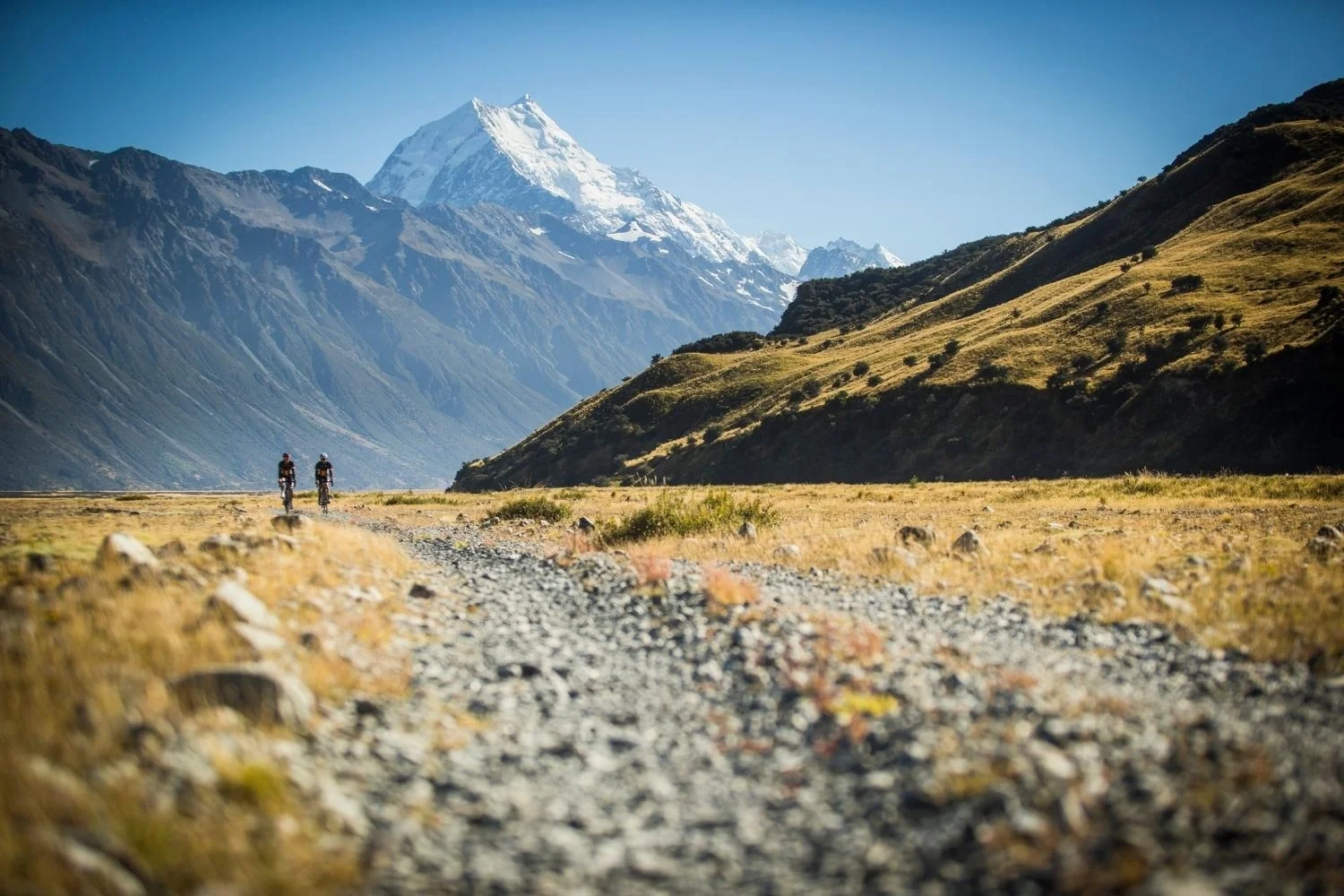 Two people standing among trees looking at the ocean during sunset.