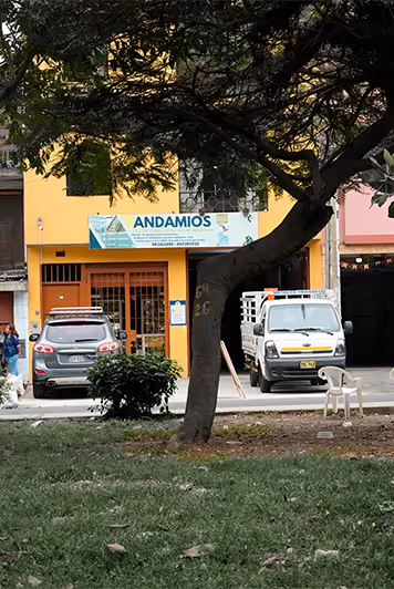 Árbol con tronco retorcido frente a un edificio amarillo con cartel 'ANDAMIOS' y vehículos estacionados, entre ellos una camioneta blanca y una camioneta plateada.