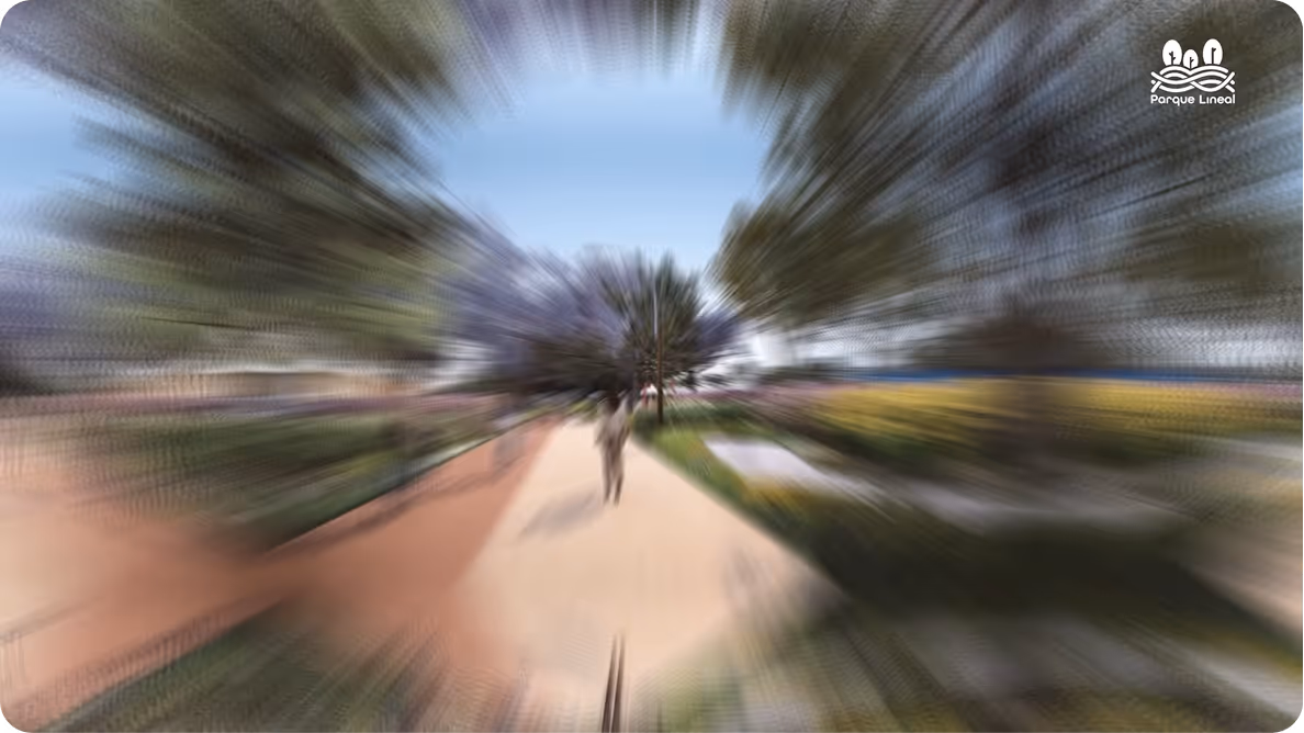 Camino en un parque con árboles y flores, efecto de desenfoque radial desde el centro.