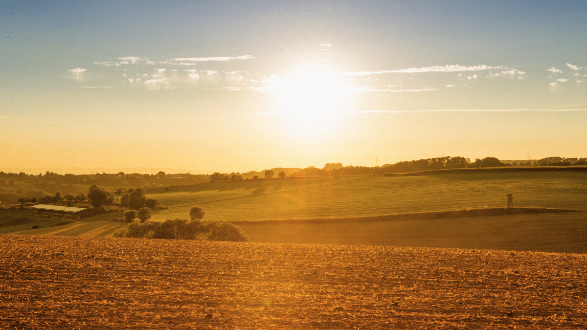 Golden sunset over rural farmland with rolling fields and distant trees