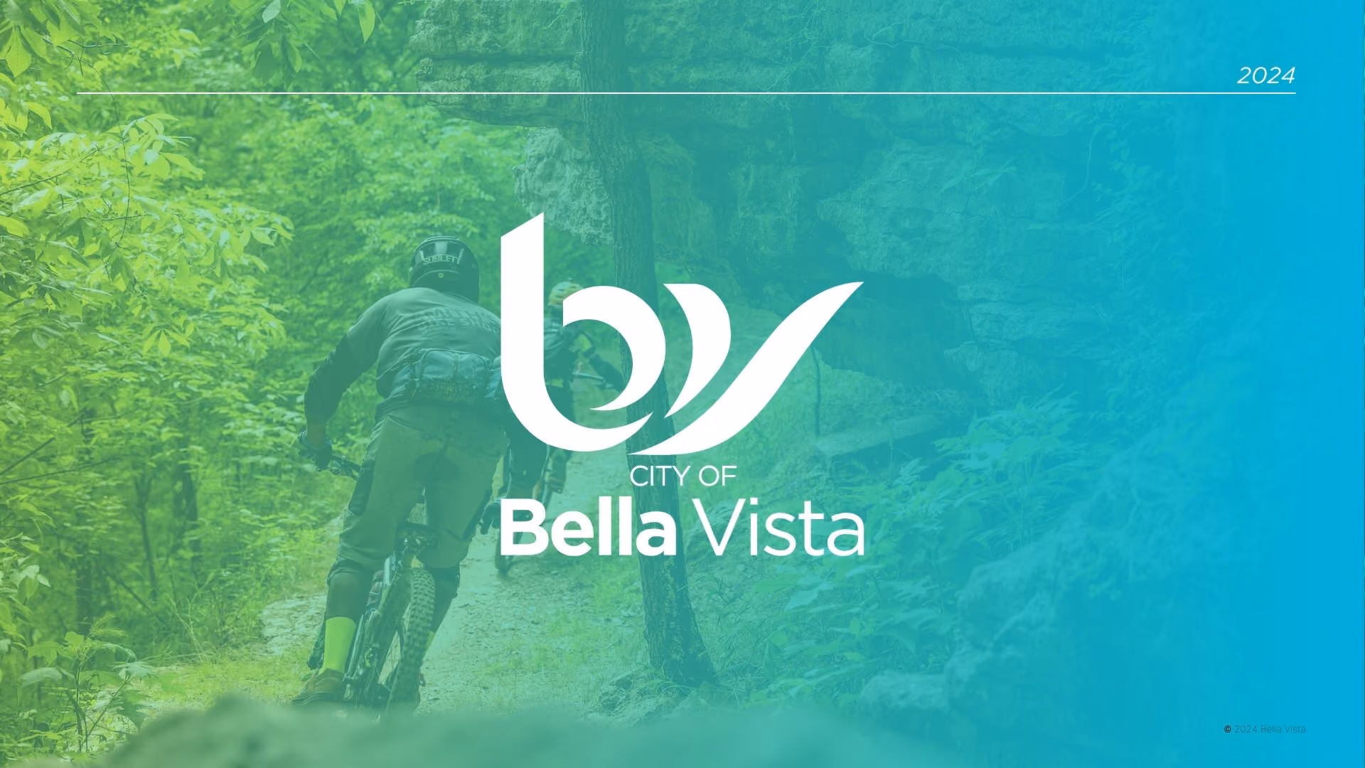 BV logo on top og gradient image