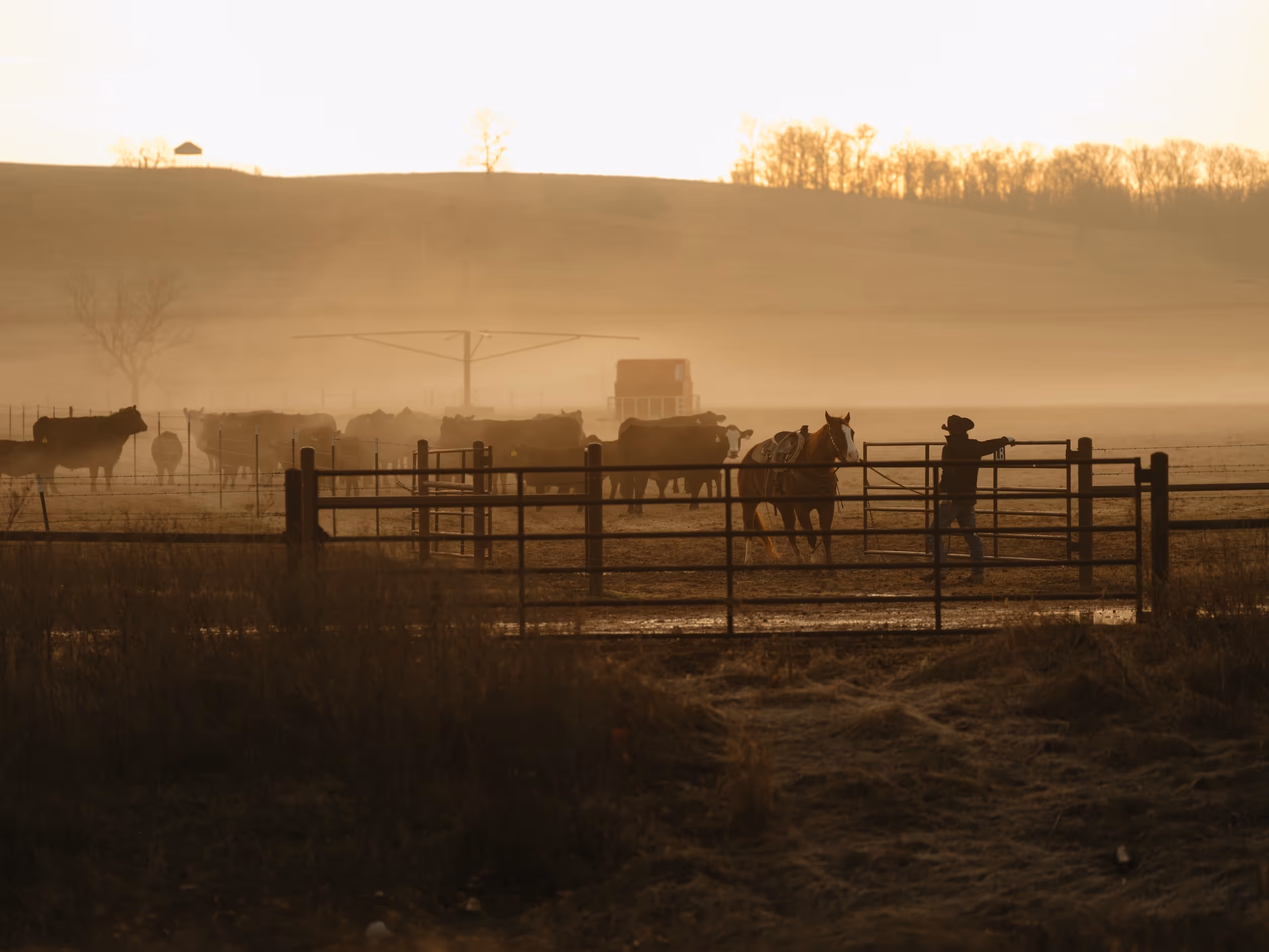 Revival Agency photography services