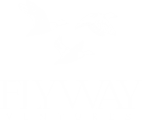 Flyway Ventures logo