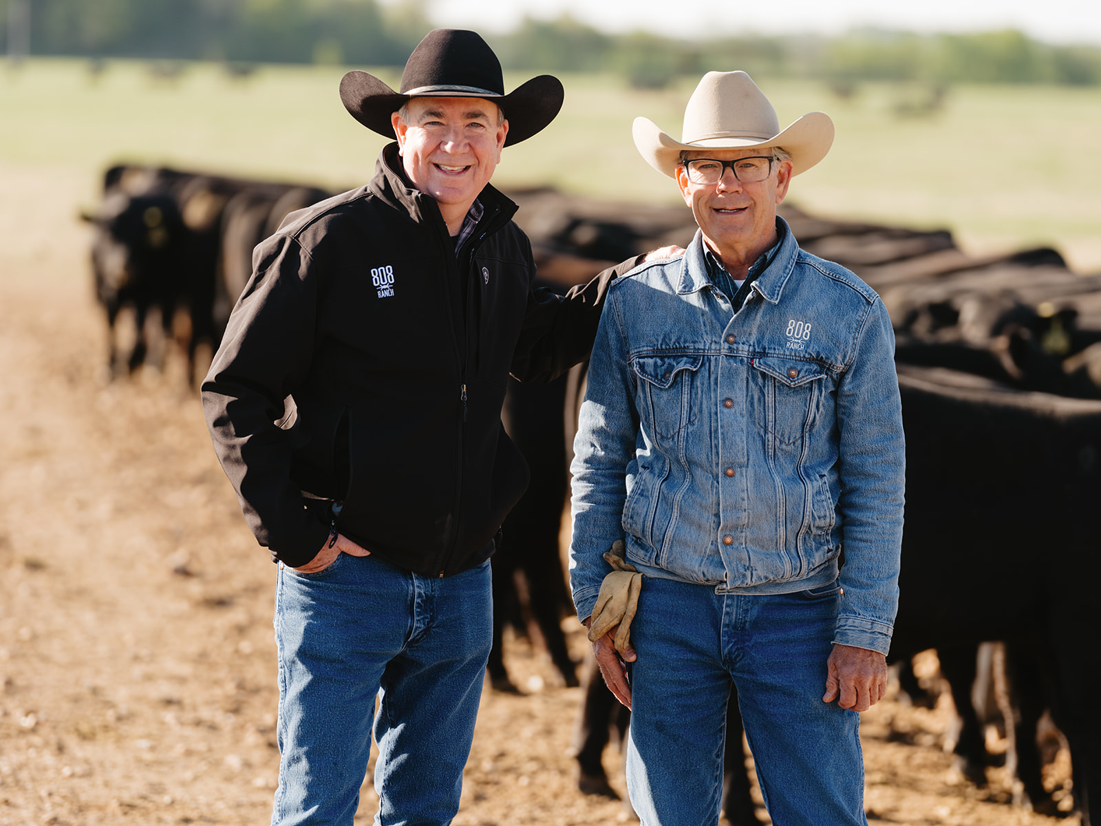 The 808 Ranch case study preview image