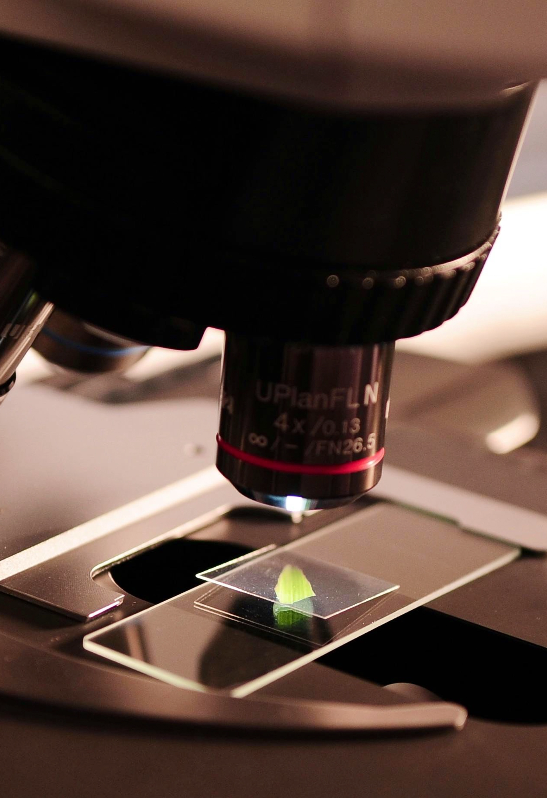 Close-up of microscope lens focusing on a glass slide with a green leaf sample.