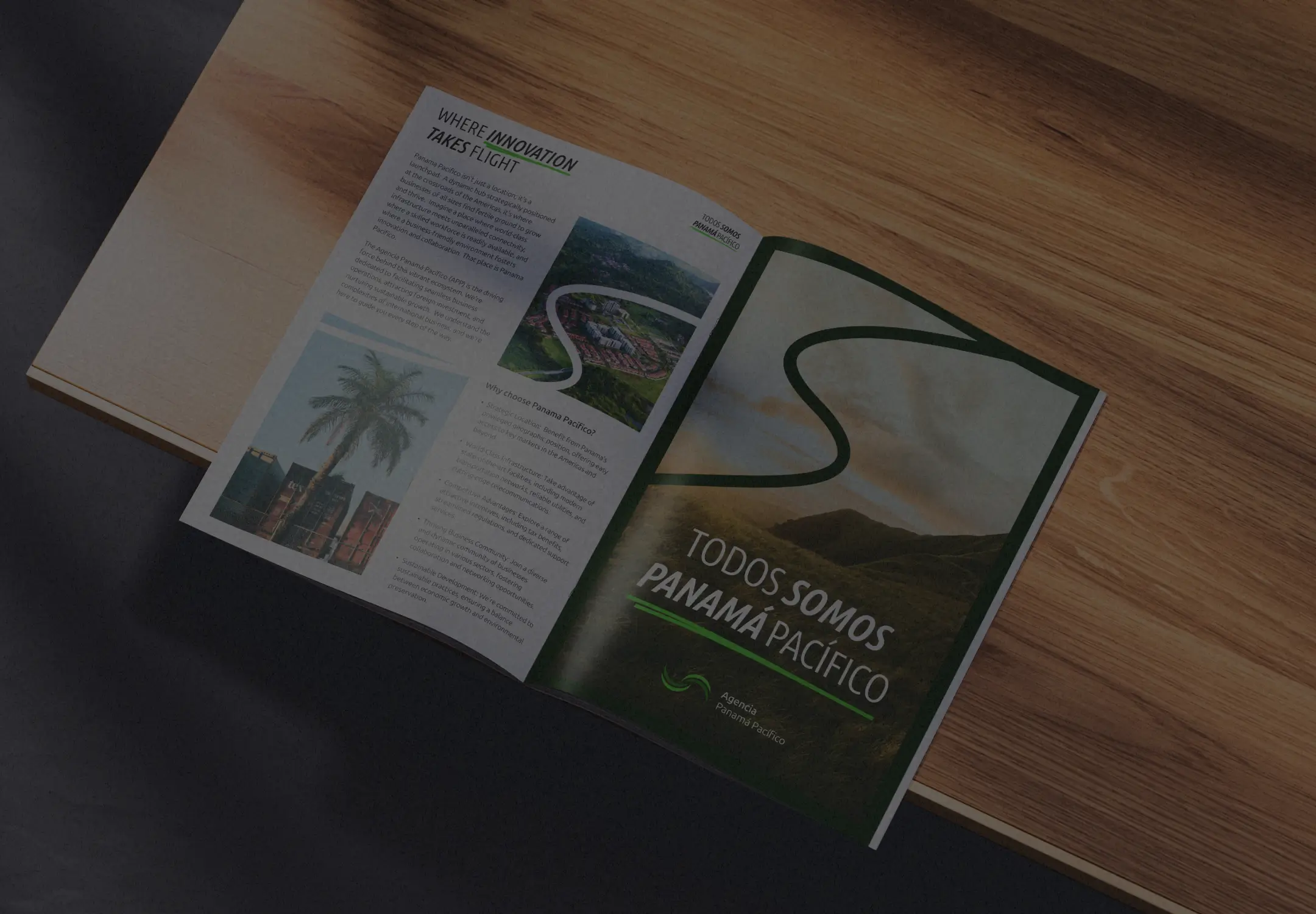 Open corporate brochure layout displaying business typography and aerial imagery of an investment hub for the Agencia Panama Pacifico identity concept.