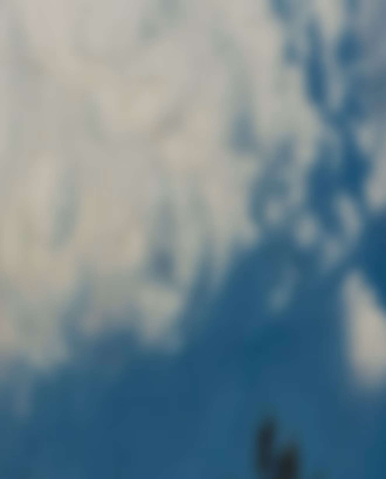 Blurred shadows of tree branches and leaves against a blue and white sky.