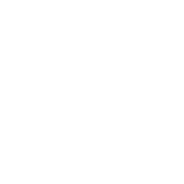 github white Logo