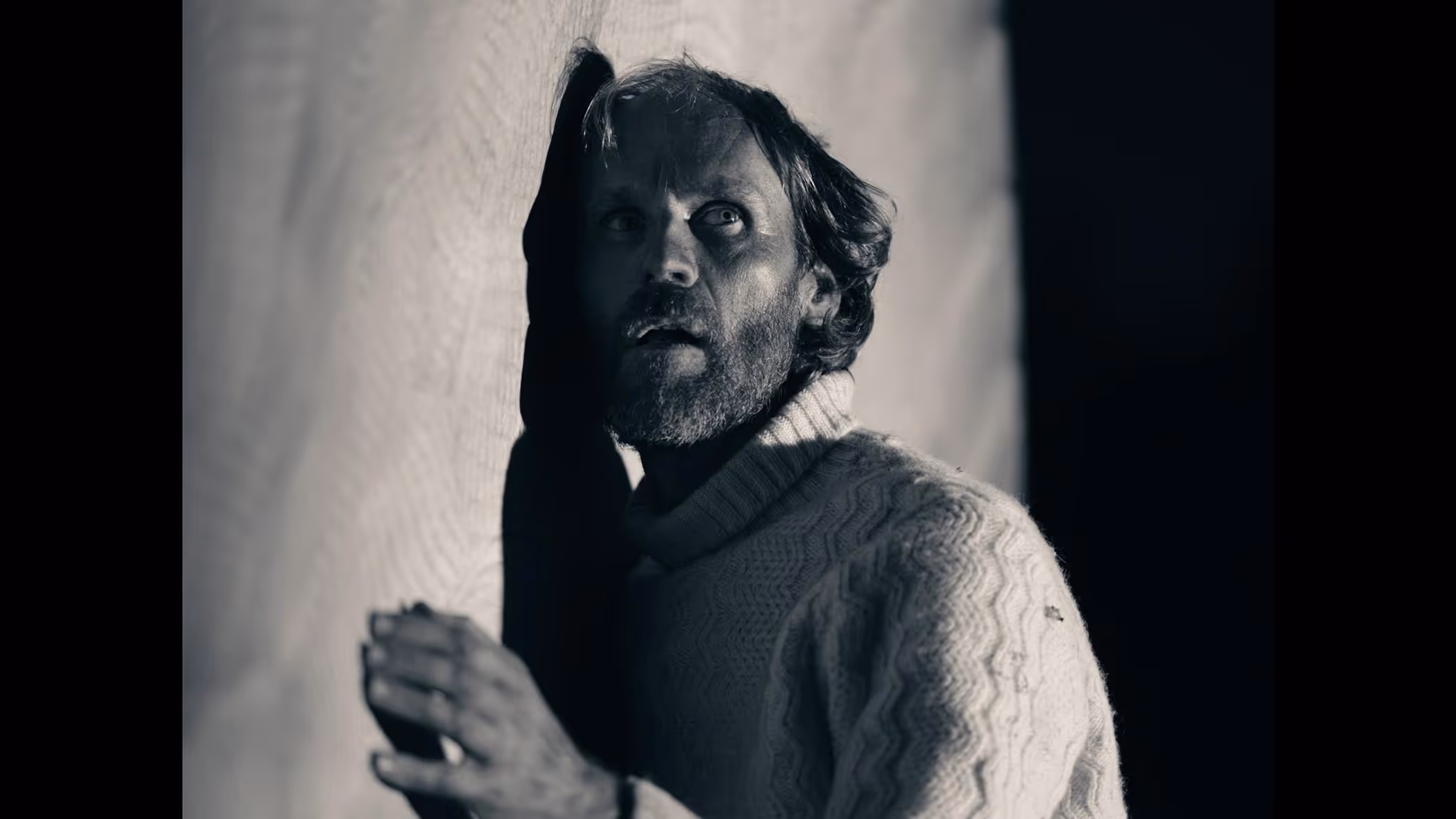 Shadow Nettes (2017)
Film by Phillip Barker
Performer: Bill Coleman
Toronto International Film Festival