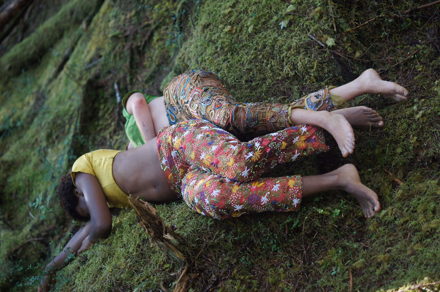Verdure: The Rainforest Project (2010)
Raincoast Conservation Choreography, Bill Coleman.