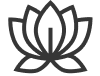 Simple gray lotus flower icon with six petals on a white background.
