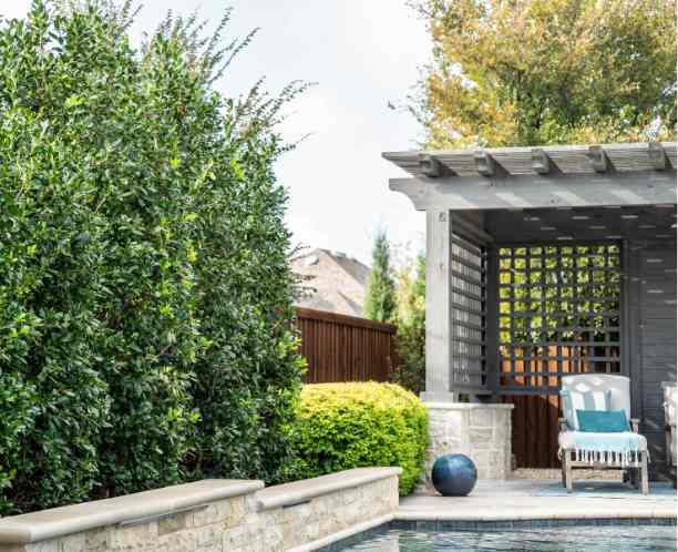 Pool-Adjacent Landscaping