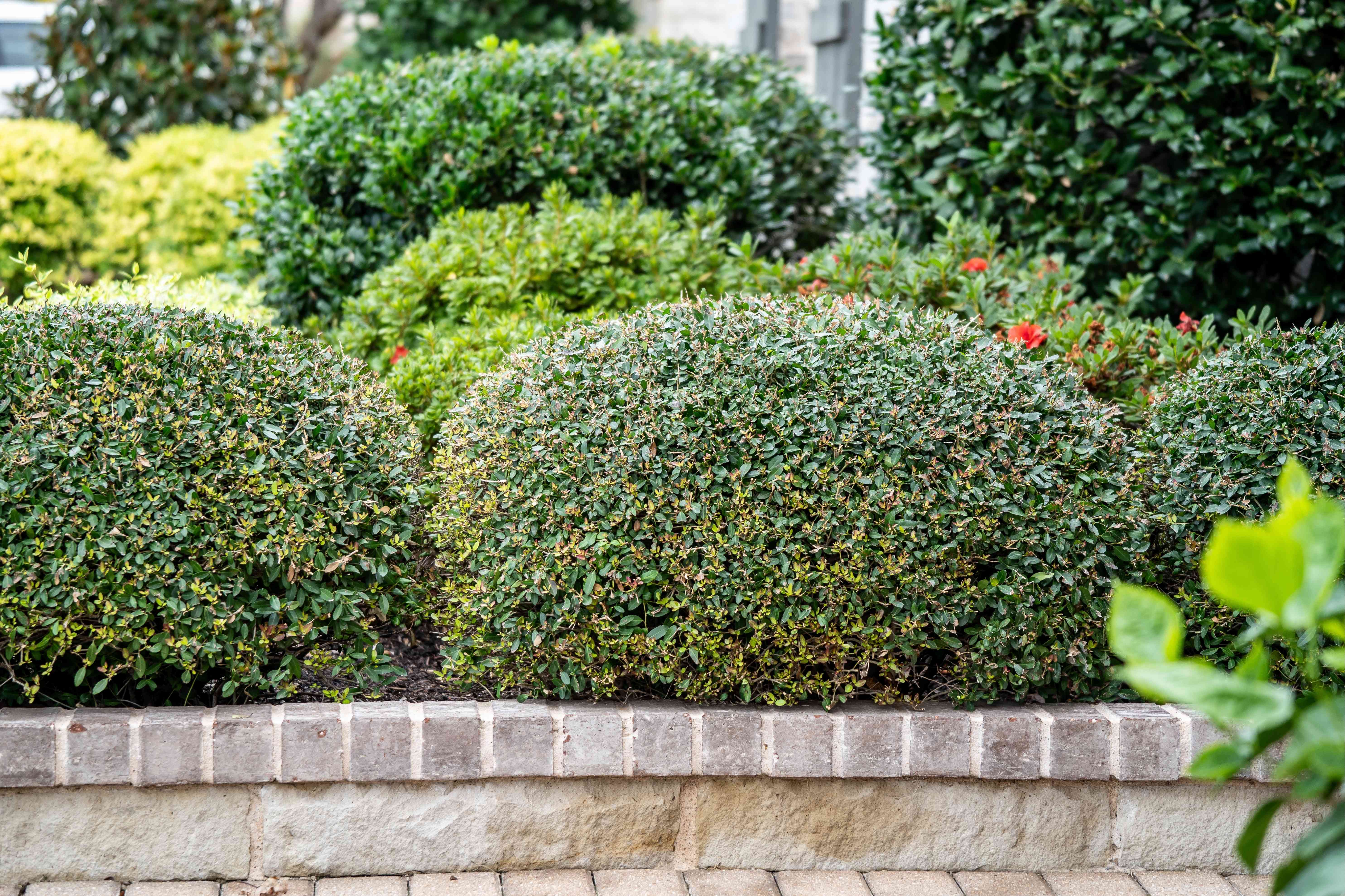 Service Workflow Banner