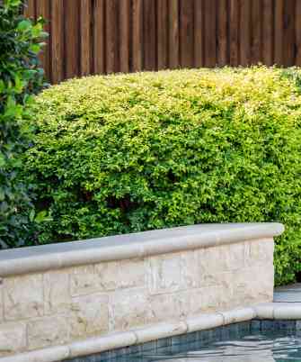 Luxury Fencing & Gates