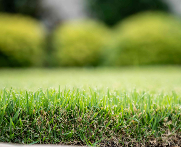 Service Workflow Banner