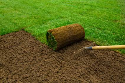 Essential Tips for Successful Sod Installation Services