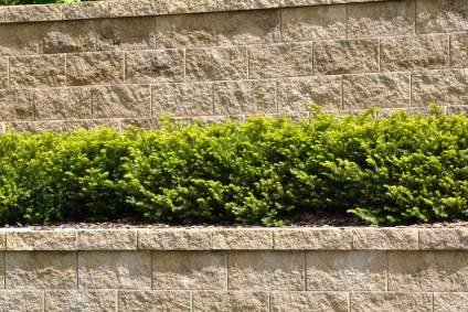 Retaining wall with bushes
