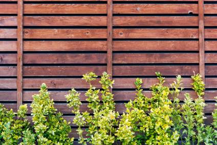 Comparing Costs: Vinyl vs Wood Fencing