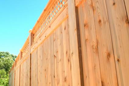 Cedar fence